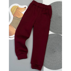 Штани дитячі теплі (сірий, коричневий, бордо)